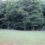 Mount Keira Scout Camp File 1