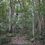 Mount Keira Scout Camp File 1