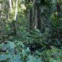Mount Keira Scout Camp File 1