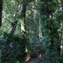Mount Keira Scout Camp File 1