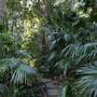 Mount Keira Scout Camp File 1