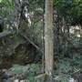 Mount Keira Scout Camp File 1