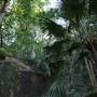 Mount Keira Scout Camp File 1