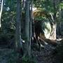 Mount Keira Scout Camp File 1
