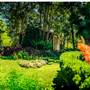 Private House - Bellingen