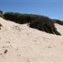 Long Reef Beach