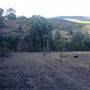 Arakoon Private Property