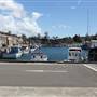 Wollongong - Foreshore and Wharf