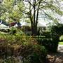 Lilianfels Resort & Darley's Restaurant