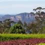Lilianfels Resort & Darley's Restaurant