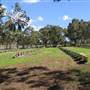 Rookwood Cemetery