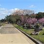 Rookwood Cemetery