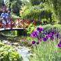 Mayfield Garden & Farm