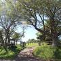Rosebank Farm