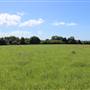Rosebank Farm