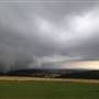 "Protea" farm property