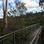 The Gully Walk, Katoomba (formerly Catalina Park)