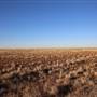 Menindee Road