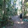 Ardeena - Jungle / Rainforest Private Property