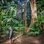 Ardeena - Jungle / Rainforest Private Property