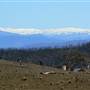 Snowy Mountains region