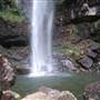 Terania Creek - Waterfalls & Rainforest