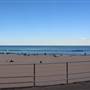Bondi Beach