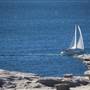 Cape Solander