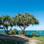 Fingal Head Lighthouse & Coastal Reserve