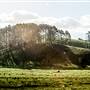 Tweed Valley - Mt Warning Views