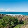 Hastings Point
