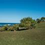 Hastings Point
