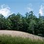Tunsted Private Property Crystal Creek Valley