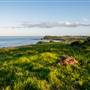 Lennox Head