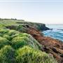 Lennox Head