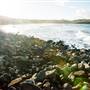 Rocky Point