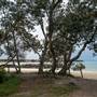 Brunswick Head Estuaries 2017