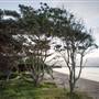 Hickey Island - Yamba
