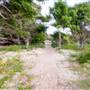 Hickey Island - Yamba