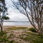 Hickey Island - Yamba