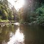 Killen Falls