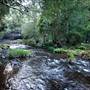Killen Falls