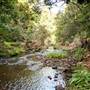 Killen Falls