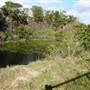 Island Quarry