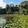 Island Quarry