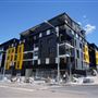 Shepherds Bay - Meadowbank