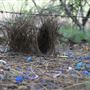 Private Property - Upper Colo