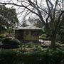 Japanese Gardens and Teahouse - Campbelltown