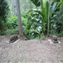 Private Property - Upper Colo