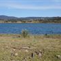 Lake Glenbawn